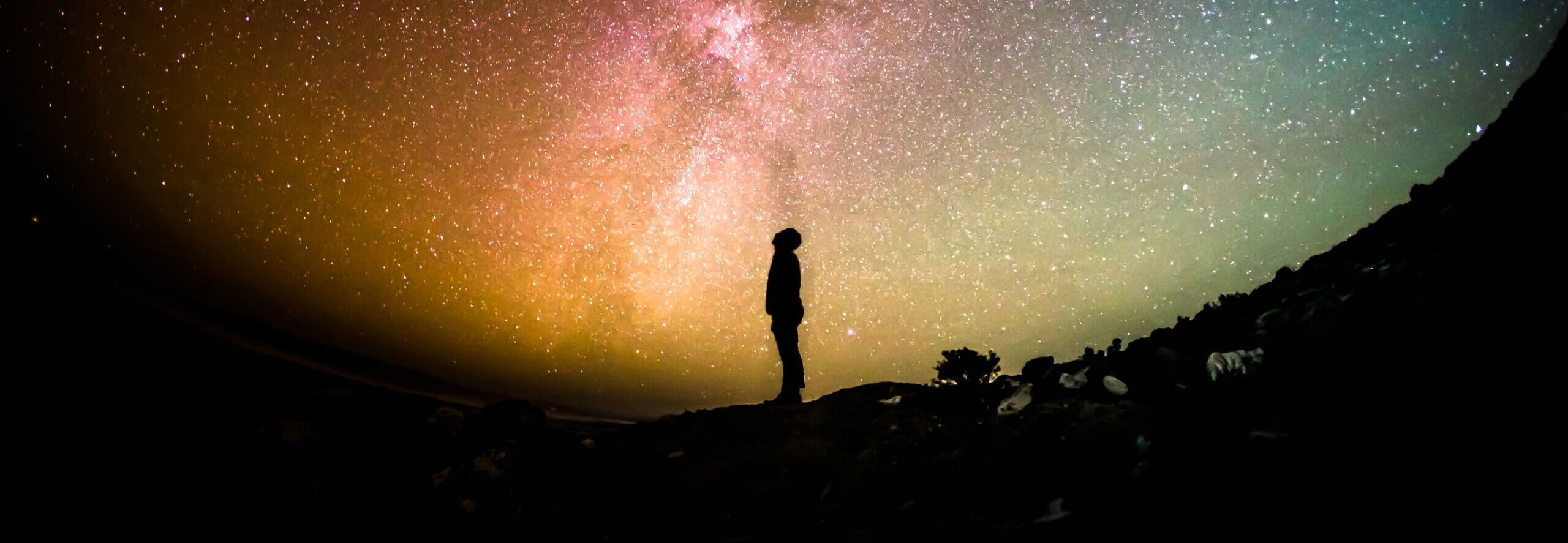 Greg Rakozy Ompaz Dn 9i Unsplash (1)