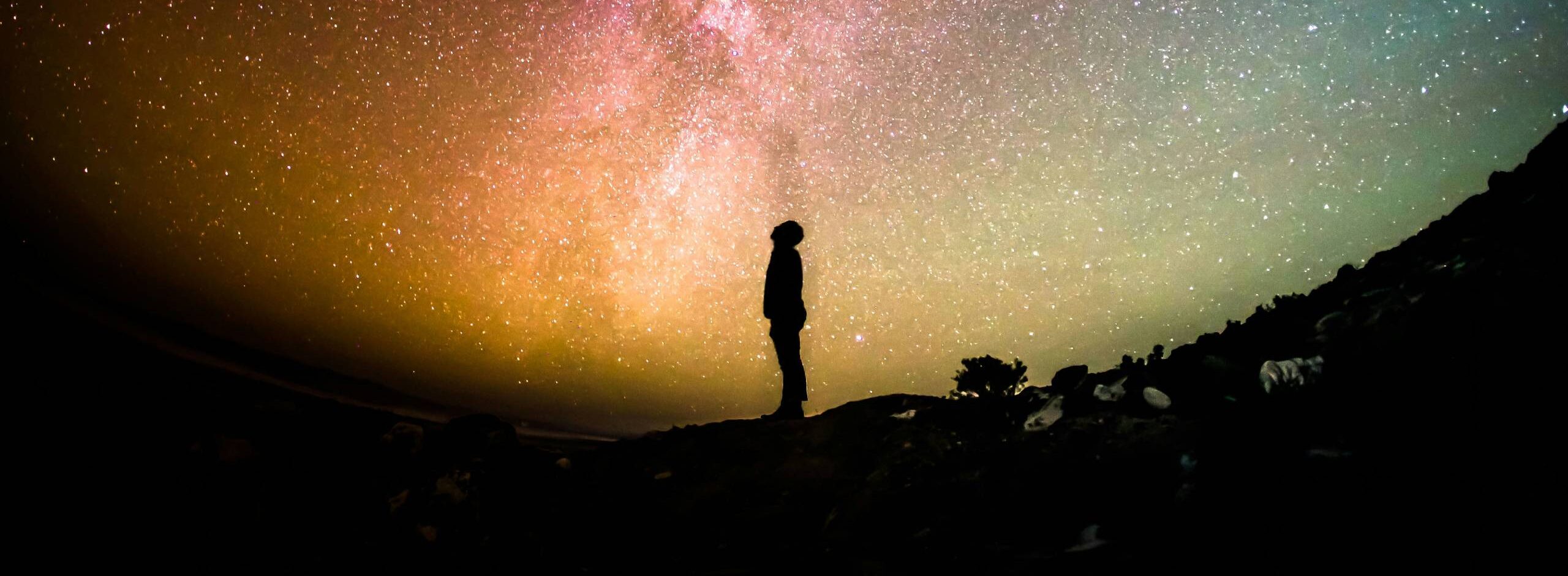 Silhouette in front of starry night.