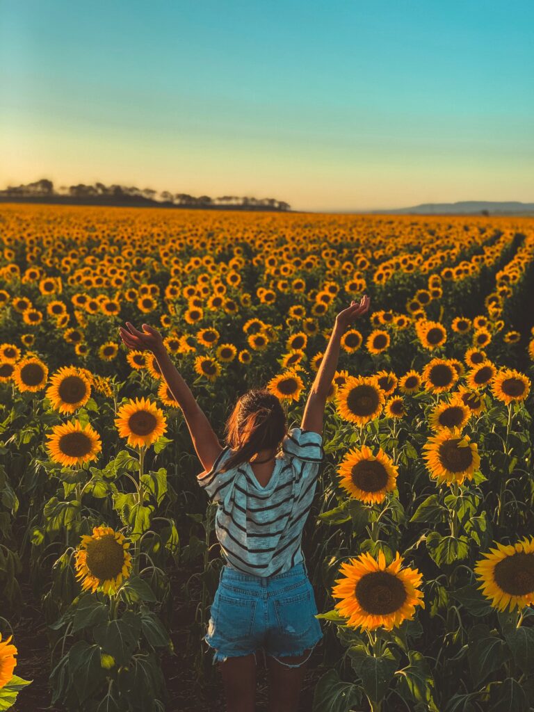 Woman celebrating happiness in sunflower field.